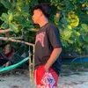 Nelvs