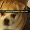 sopulimayn