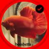 bossbetta888