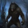 wolfmaster0101