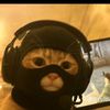 nblfitzone11