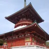 tri_khuong_vs