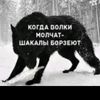 user784806936966
