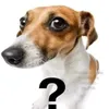 sinaldeinterrogacao