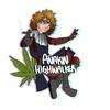 anakin__highwalker