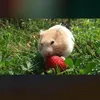 leonwebbissexy