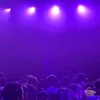 vinceeinvee