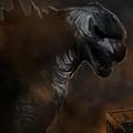 beardedgojira