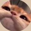 dang_sd_pt2