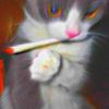 robbie_doesnt_care