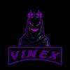 vinex401