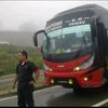 kepalaputih77