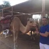 jairomiguelvicario