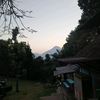 asistenmlbb_