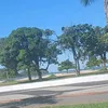 ederpereira024