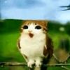 leo_messi1569