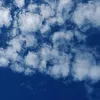 nyl_040