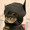mynameisaniq