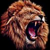 isaackizzoh