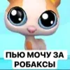 realbebe228