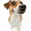 lestrangememe