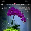 khanhhung723