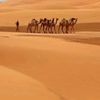 ahmed.osman6797
