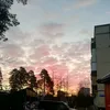 maxim_bi2