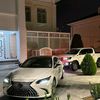 beg_han_77