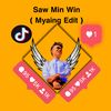winminvillain1998