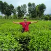 xanvinh