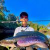 angler.rifai01