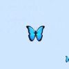 _nfarhat