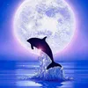 danibearneza_1216