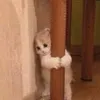 usert4nmaooxtw