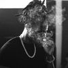 wilflee