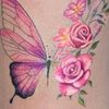 freecele55