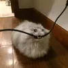 kkollls