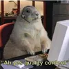 steamedbun_rn
