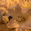 leonie_721