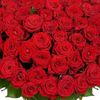 anemary49