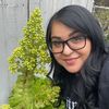 Thecrazysucculentlady