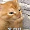 jostarclan
