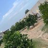hawamak