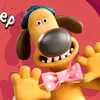 candogtv