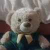 ursobruno1