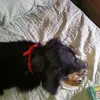 matiasjr0048