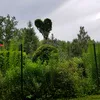 ibo_66666