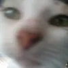 yejis_coolbsf