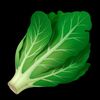 everylettuce